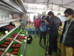 大阪読売テレビいちご狩り取材 in 多度グリーンファーム